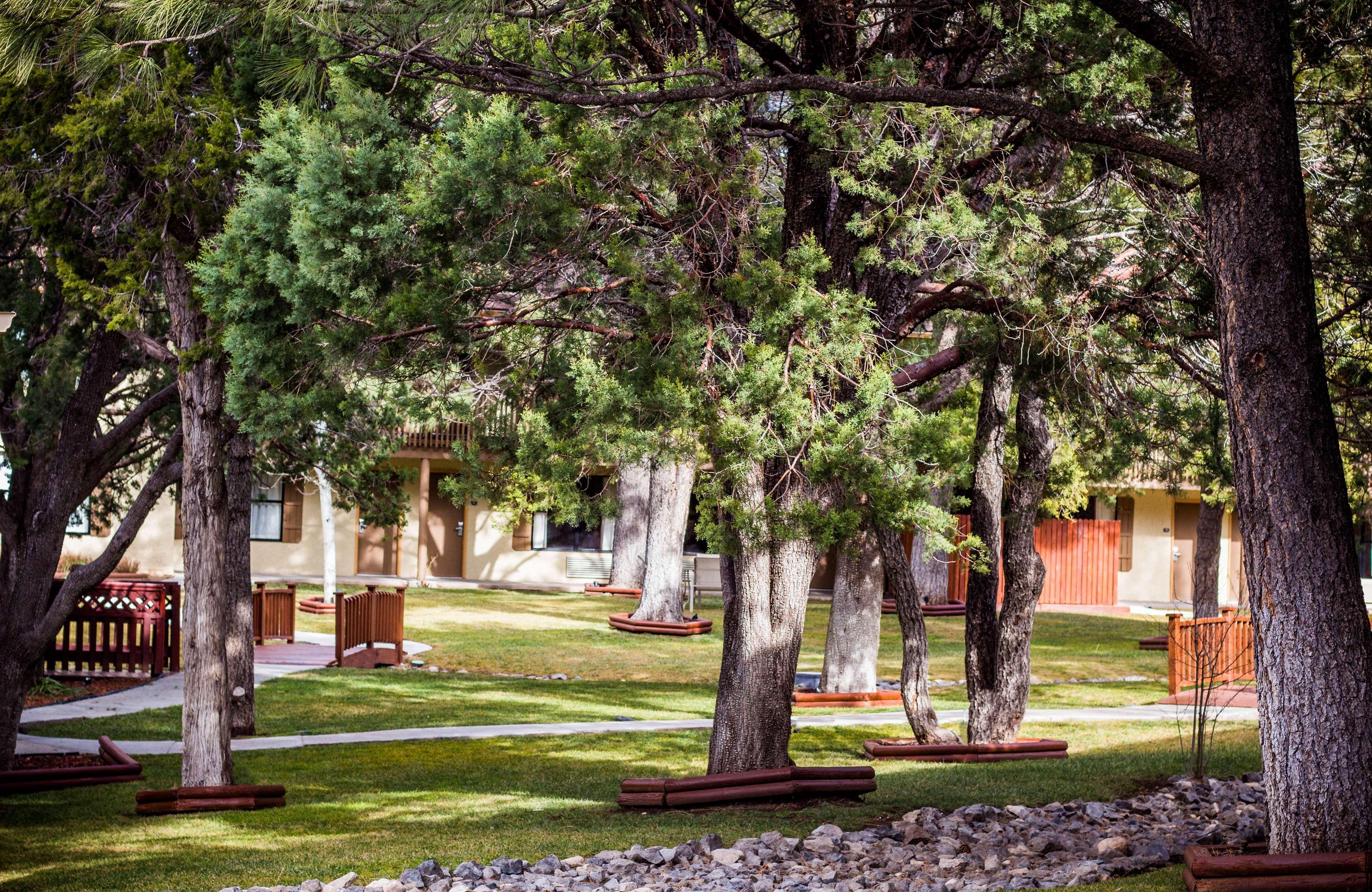 Best Western Pine Springs Inn Ruidoso Downs Luaran gambar